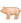 241-PIG