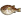 245-BLOWFISH
